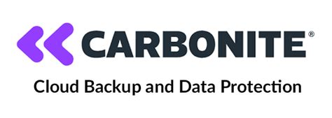 carbonite data storage solutions